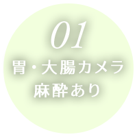 胃・大腸カメラ 麻酔あり